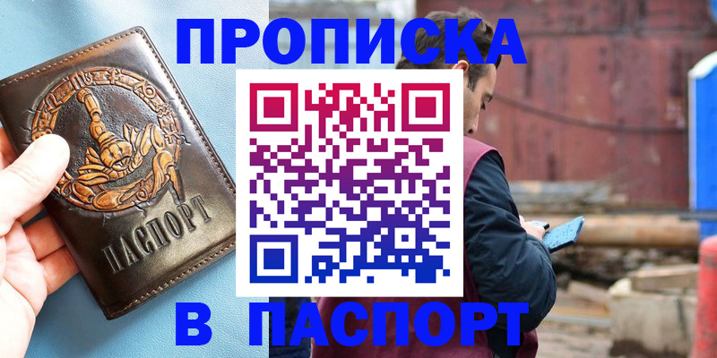 прописка в Северске